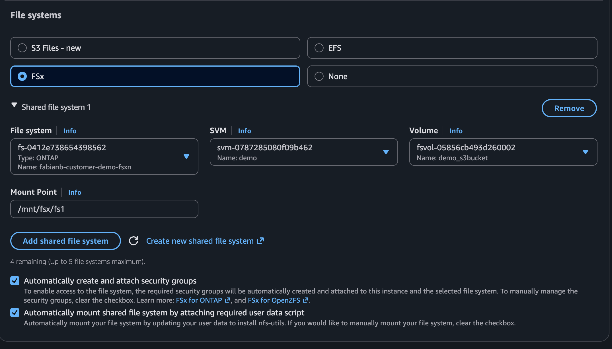 Shared file system configuration with mount point and automation checkboxes